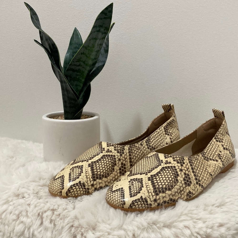 Everlane Day Glove flats snake print sz 8